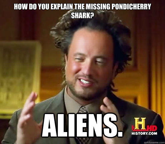 how do you explain the missing pondicherry shark? ALIENS.   Ancient Aliens