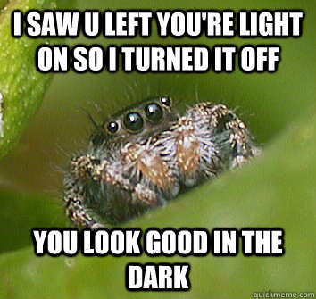 I Saw u left you're Light on so i turned it off YOU LOOK GOOD IN THE DARK   Misunderstood Spider