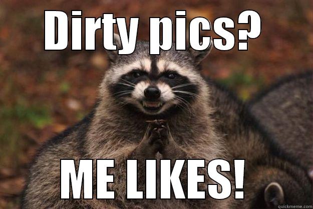 DIRTY PICS? ME LIKES! Evil Plotting Raccoon