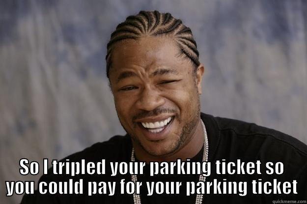 Who has money for that? - YO DAWG, I HEARD YOU COULDN'T PAY YOUR PARKING TICKET SO I TRIPLED YOUR PARKING TICKET SO YOU COULD PAY FOR YOUR PARKING TICKET Xzibit meme