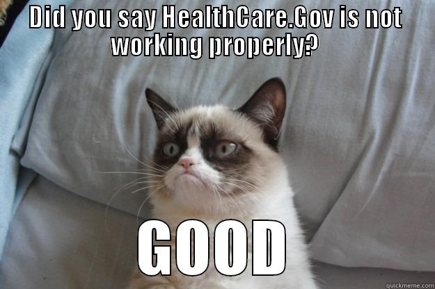 DID YOU SAY HEALTHCARE.GOV IS NOT WORKING PROPERLY? GOOD Grumpy Cat