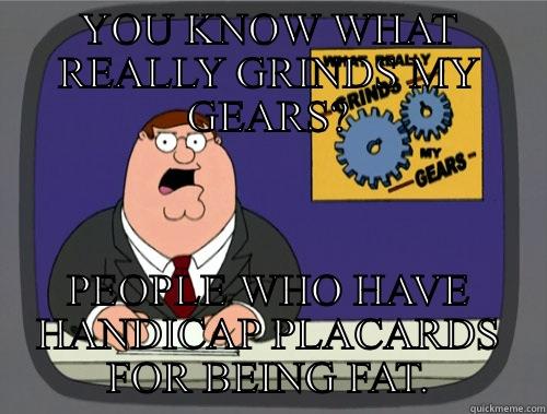 YOU KNOW WHAT REALLY GRINDS MY GEARS? PEOPLE WHO HAVE HANDICAP PLACARDS FOR BEING FAT. Grinds my gears