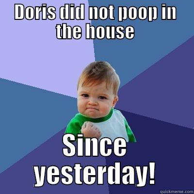 Doris did not poop in the house! - DORIS DID NOT POOP IN THE HOUSE SINCE YESTERDAY! Success Kid