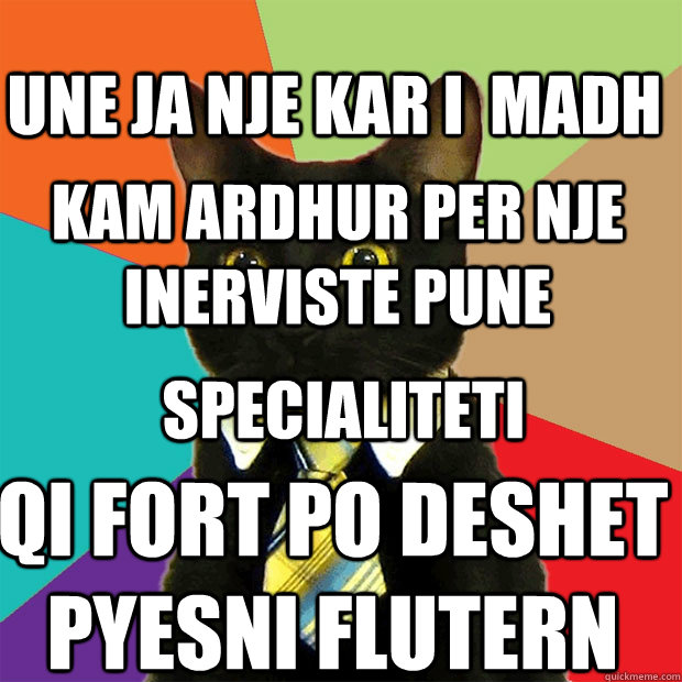 une ja nje kar i  madh kam ardhur per nje inerviste pune specialiteti  qi fort po deshet  pyesni flutern  Business Cat