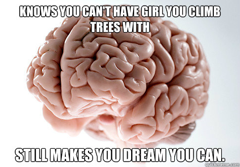 Knows you can't have girl you climb trees with Still makes you dream you can.  Scumbag Brain