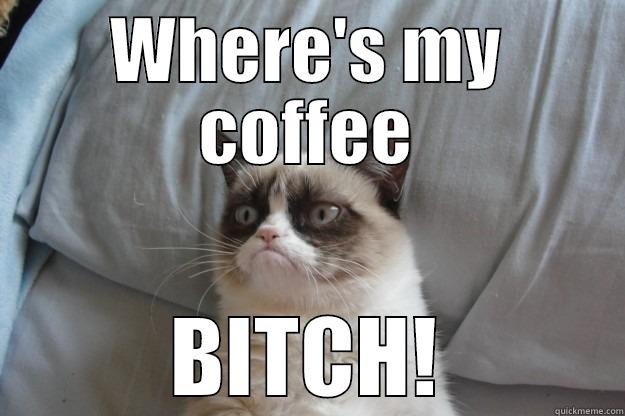 WHERE'S MY COFFEE BITCH! Grumpy Cat