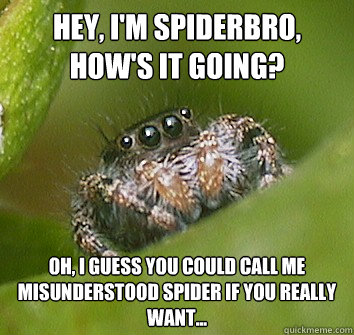 Hey, I'm spiderbro, how's it going? Oh, I guess you could call me misunderstood spider if you really want... - Hey, I'm spiderbro, how's it going? Oh, I guess you could call me misunderstood spider if you really want...  Misunderstood Spider