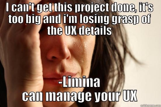 Limina can help - I CAN'T GET THIS PROJECT DONE, IT'S TOO BIG AND I'M LOSING GRASP OF THE UX DETAILS -LIMINA CAN MANAGE YOUR UX First World Problems