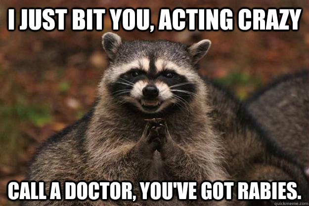 I just bit you, acting crazy Call a doctor, you've got rabies. - I just bit you, acting crazy Call a doctor, you've got rabies.  Evil Plotting Raccoon