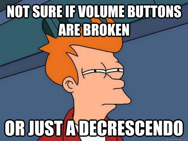 Not sure if volume buttons are broken or just a decrescendo   Futurama Fry