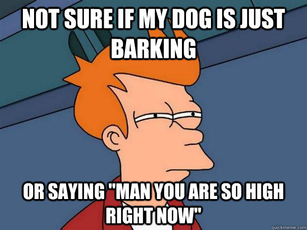 not sure if my dog is just barking or saying 