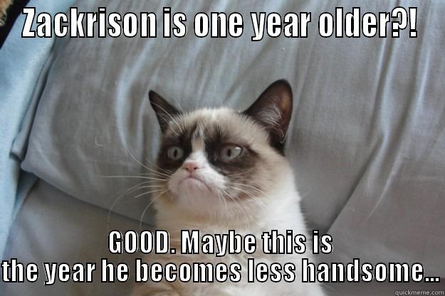 ZACKRISON IS ONE YEAR OLDER?! GOOD. MAYBE THIS IS THE YEAR HE BECOMES LESS HANDSOME... Grumpy Cat