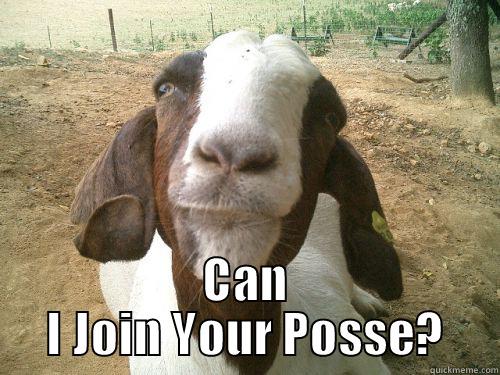  CAN I JOIN YOUR POSSE? Misc