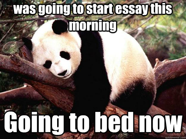 was going to start essay this morning Going to bed now  Procrastination Panda