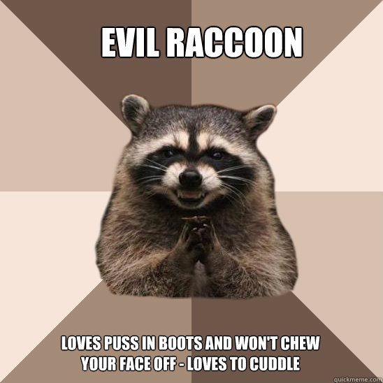 evil raccoon  loves puss in boots and won't chew your face off - loves to cuddle - evil raccoon  loves puss in boots and won't chew your face off - loves to cuddle  Evil Plotting Raccoon