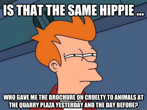 Is that the same hippie ... who gave me the brochure on cruelty to animals at the quarry plaza yesterday and the day before?   Futurama Fry