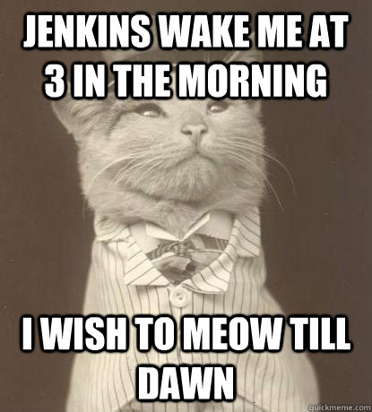 Jenkins wake me at 3 in the morning I wish to meow till dawn  Aristocat