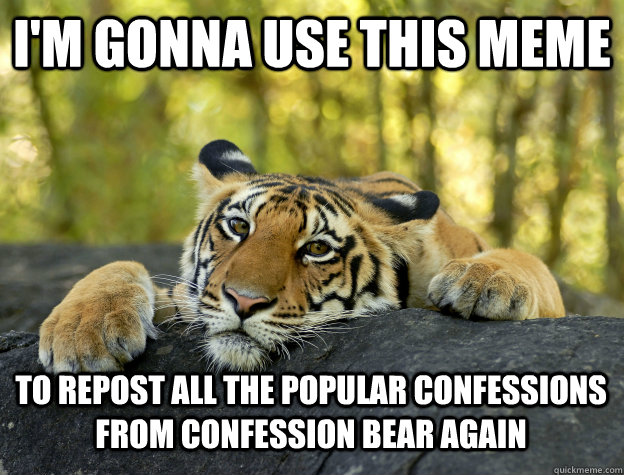 I'm gonna use this meme to repost all the popular confessions from confession bear again  