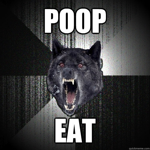 POOP EAT  Insanity Wolf