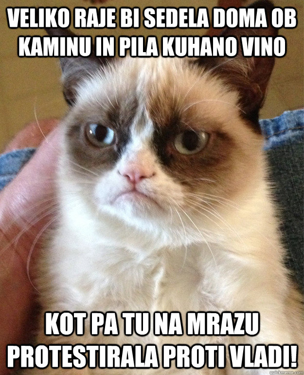 Veliko raje bi sedela doma ob kaminu in pila kuhano vino kot pa tu na mrazu protestirala proti vladi!  Grumpy Cat