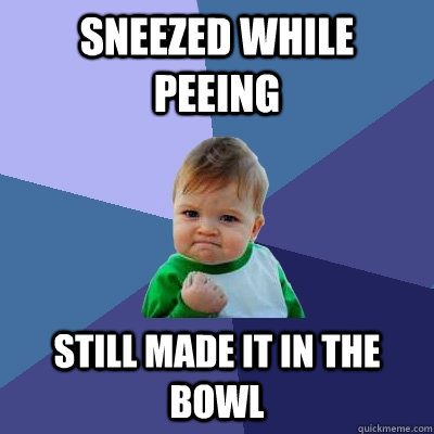 Sneezed while peeing still made it in the bowl  Success Kid