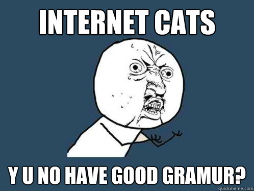 internet cats Y U NO HAVE good gramur?  Y U No