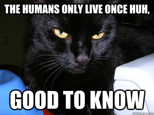 The humans only live once huh, Good to know  Evil Kitty