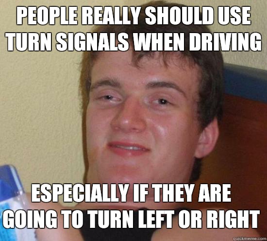 People really should use turn signals when driving Especially if they are going to turn left or right  10 Guy