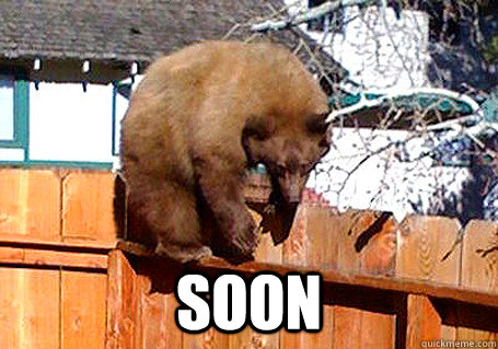  SOON  Fence Bear