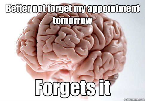 Better not forget my appointment tomorrow Forgets it   Scumbag Brain