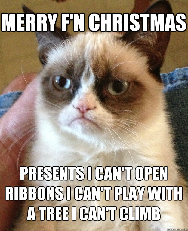 Merry F'n Christmas Presents I can't open
Ribbons I can't play with
A tree I can't climb  Grumpy Cat