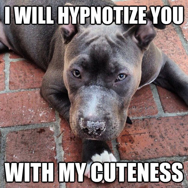 I will hypnotize you with my cuteness  Hypnotized