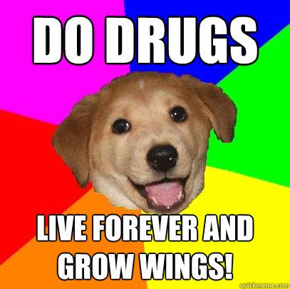 Do drugs Live forever and grow wings!  Advice Dog