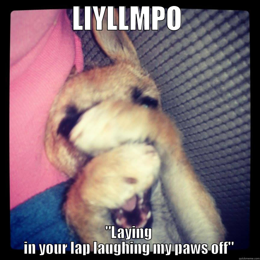 LIYLLMPO 