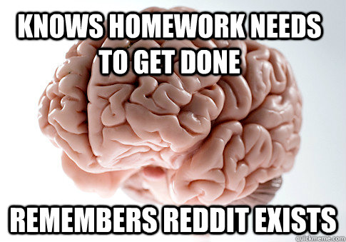 KNOWS HOMEWORK NEEDS TO GET DONE REMEMBERS REDDIT EXISTS  Scumbag Brain