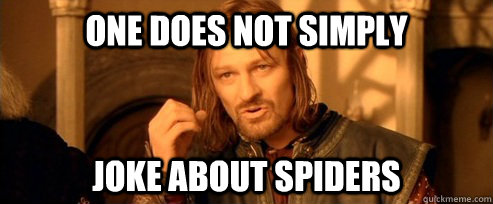 One does not simply Joke about spiders  One Does Not Simply