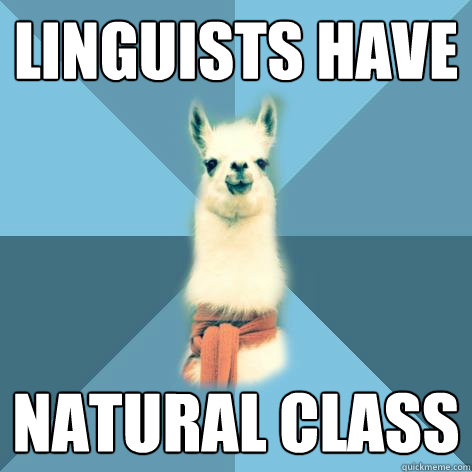 linguists have natural class  Linguist Llama