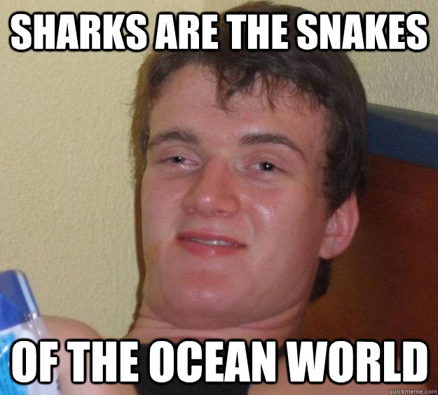 Sharks are the snakes of the ocean world - Sharks are the snakes of the ocean world  10 Guy