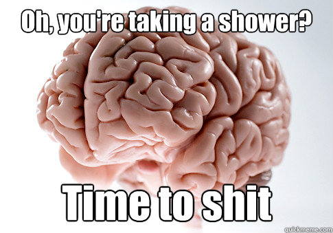 Oh, you're taking a shower? Time to shit  Scumbag Brain