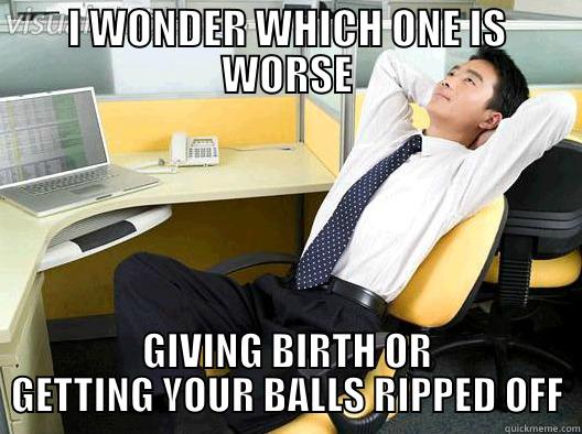 I WONDER WHICH ONE IS WORSE GIVING BIRTH OR GETTING YOUR BALLS RIPPED OFF Misc