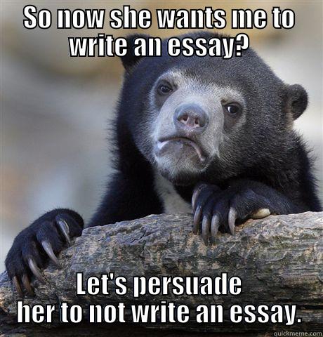 SO NOW SHE WANTS ME TO WRITE AN ESSAY? LET'S PERSUADE HER TO NOT WRITE AN ESSAY. Confession Bear