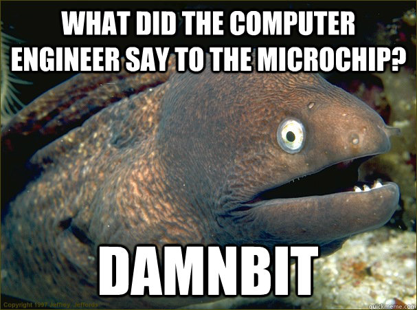 What did the computer engineer say to the microchip? Damnbit - What did the computer engineer say to the microchip? Damnbit  Bad Joke Eel