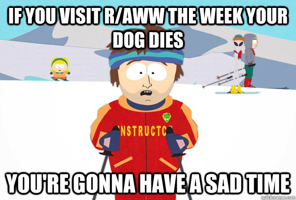 If you visit r/aww the week your dog dies You're gonna have a sad time  