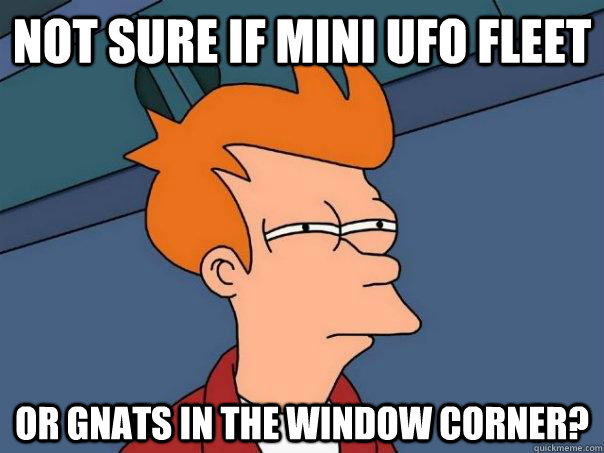 Not sure if mini UFO fleet Or gnats in the window corner?  Futurama Fry