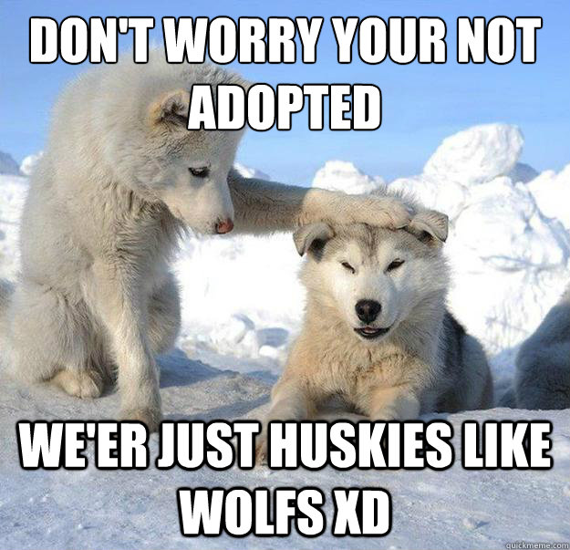 Don't worry your not adopted
 we'er just huskies like wolfs xD  Caring Husky