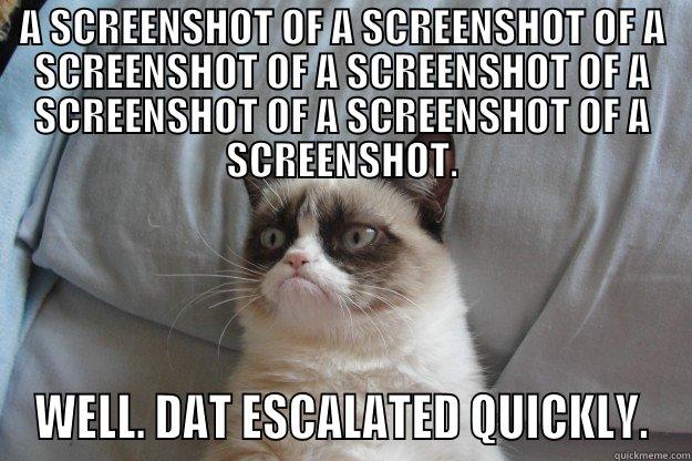 A SCREENSHOT OF A SCREENSHOT OF A SCREENSHOT OF A SCREENSHOT OF A SCREENSHOT OF A SCREENSHOT OF A SCREENSHOT - A SCREENSHOT OF A SCREENSHOT OF A SCREENSHOT OF A SCREENSHOT OF A SCREENSHOT OF A SCREENSHOT OF A SCREENSHOT. WELL. DAT ESCALATED QUICKLY. Grumpy Cat