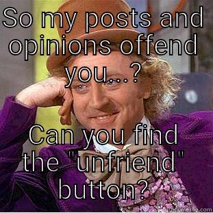 SO MY POSTS AND OPINIONS OFFEND YOU...? CAN YOU FIND THE 