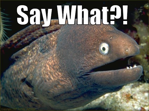 SAY WHAT?!  Bad Joke Eel