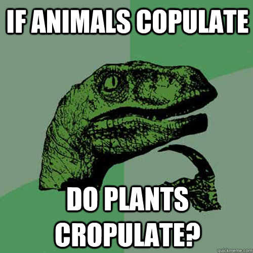 if animals copulate do plants cropulate?  Philosoraptor