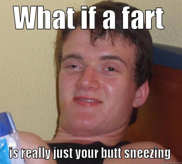 WHAT IF A FART IS REALLY JUST YOUR BUTT SNEEZING 10 Guy